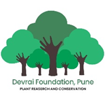 devrai